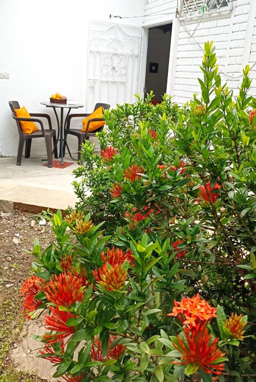 Hostal Corales Tolú Kültér fotó