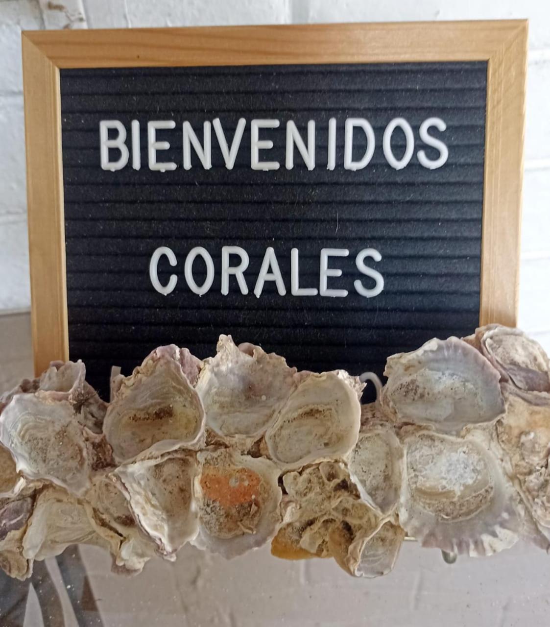 Hostal Corales Tolú Kültér fotó