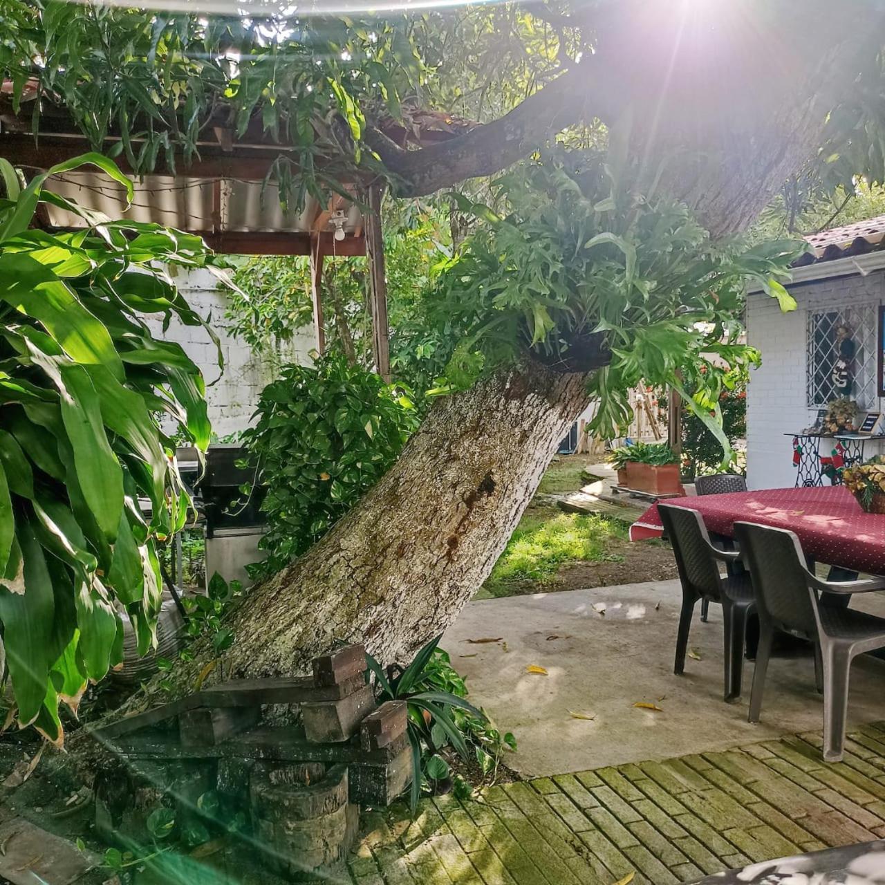 Hostal Corales Tolú Kültér fotó